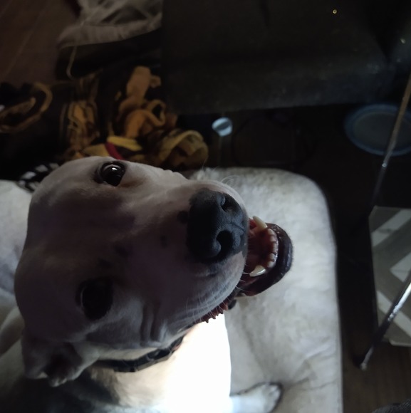 daisylee7399
